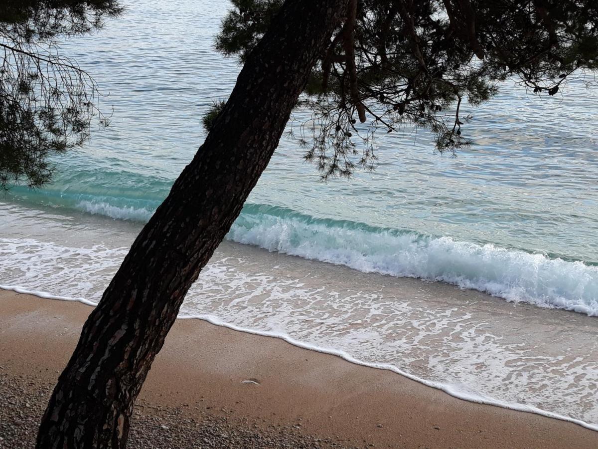 Studio With Magic View Podgora Exterior foto